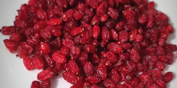 تصویر 4 از قیمت زرشک پفکی مشهد با کیفیت ارزان + خرید عمده