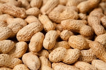 تصویر 2 از قیمت بادام زمینی روکش دار پنیری + خرید باور نکردنی