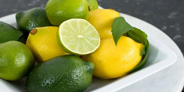 تصویر 2 از قیمت خرید لیمو سنگی ترش + فروش ویژه