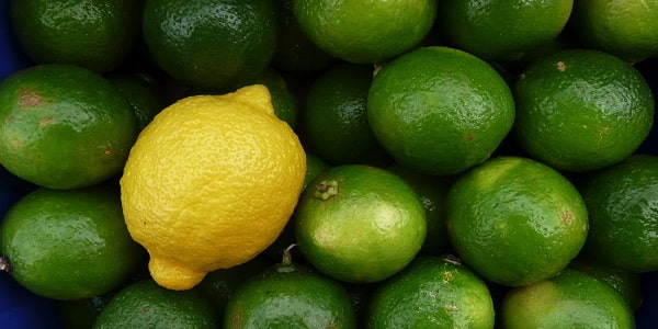 تصویر 1 از قیمت خرید لیمو سنگی ترش + فروش ویژه