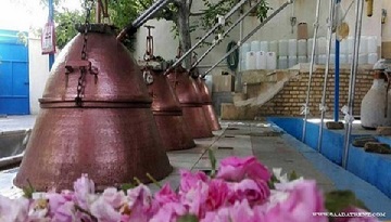 تصویر 2 از خرید گلاب ممتاز مرغوب + قیمت فروش استثنایی