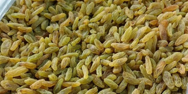 تصویر 3 از فروش کشمش سبز قلمی درجه ۱ + قیمت خرید به صرفه