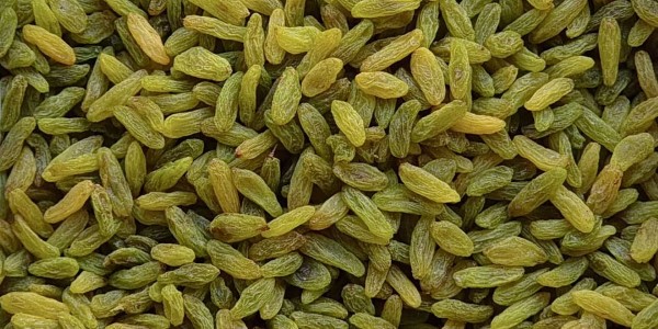 تصویر 5 از قیمت کشمش سبز قلمی درجه ۲ با کیفیت ارزان + خرید عمده
