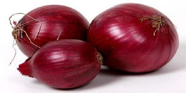 تصویر 5 از قیمت خرید پیاز قرمز کرمانشاه با فروش عمده