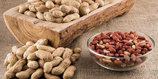 تصویر 3 از خرید و قیمت بادام زمینی غلاف دار خام + فروش صادراتی