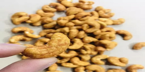 تصویر 1 از فروش بادام هندی اصل + قیمت خرید به صرفه