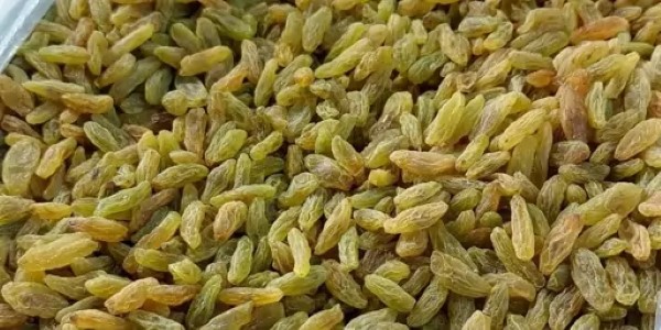 تصویر 4 از خرید و قیمت کشمش سبز ممتاز + فروش صادراتی