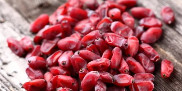 تصویر 5 از قیمت زرشک دانه اناری اعلا با کیفیت ارزان + خرید عمده