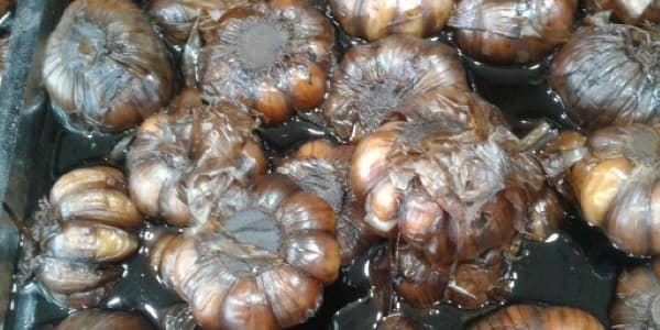 تصویر 2 از قیمت خرید ترشی سیر چند ساله با فروش عمده