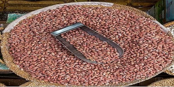 تصویر 1 از قیمت بادام زمینی آستانه عمده با کیفیت ارزان + خرید عمده