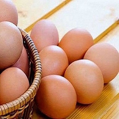 خرید و قیمت تخم مرغ صاداتی اصفهان + فروش عمده