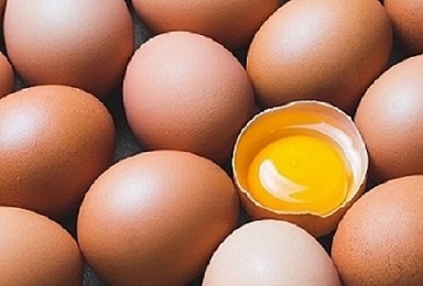 تصویر 2 از خرید و قیمت تخم مرغ صاداتی اصفهان + فروش عمده
