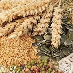 تصویر 1 از قیمت خرید مکمل دامی پرواری + فروش ویژه
