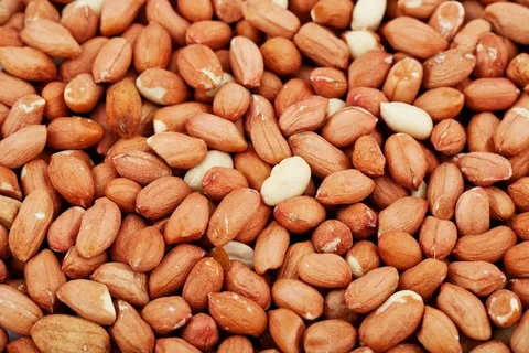 تصویر 2 از فروش بادام زمینی روکش دار مزمز + قیمت خرید به صرفه
