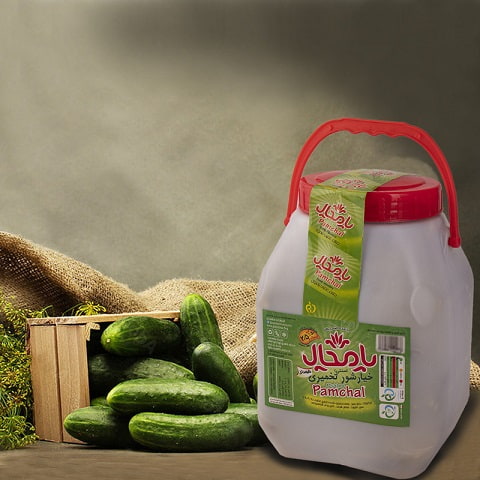 قیمت خیارشور پامچال مشهد + عمده