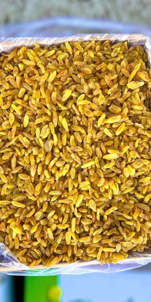 تصویر 4 از قیمت خرید کشمش زرد طلایی قلمی درجه ۲ + فروش ویژه