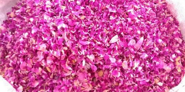 تصویر 5 از فروش گل محمدی خشک کرده + قیمت خرید به صرفه