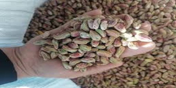 تصویر 5 از خرید و قیمت مغز پسته رفسنجان + فروش عمده