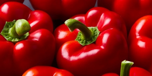 تصویر 2 از خرید و قیمت فلفل دلمه ای قرمز رنگ + فروش عمده