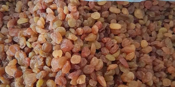 تصویر 1 از خرید کشمش پلویی چمنی + قیمت فروش استثنایی