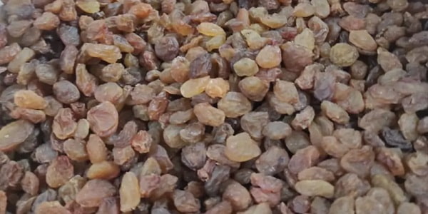 تصویر 3 از خرید کشمش پلویی چمنی + قیمت فروش استثنایی