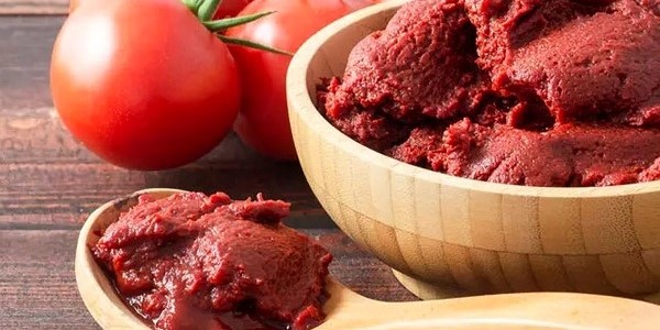تصویر 4 از خرید رب گوجه همدانیان + قیمت فروش استثنایی
