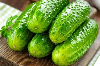 تصویر 2 از قیمت خرید خیار سبز خاردار + فروش ویژه