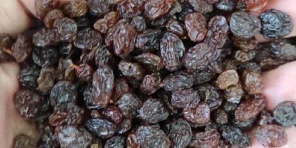 تصویر 3 از خرید کشمش پلویی همدان + قیمت فروش استثنایی