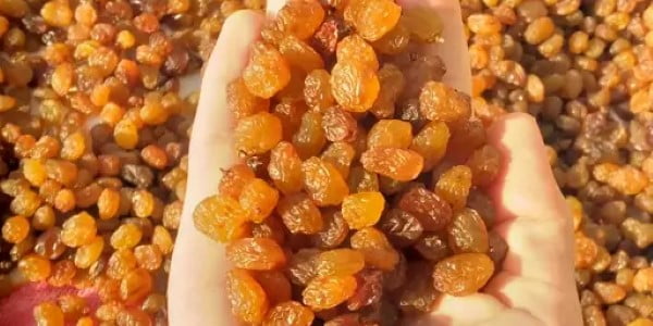 تصویر 5 از خرید کشمش پلویی همدان + قیمت فروش استثنایی