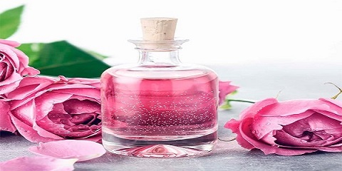 تصویر 2 از قیمت گلاب ربیع لوکس با کیفیت ارزان + خرید عمده