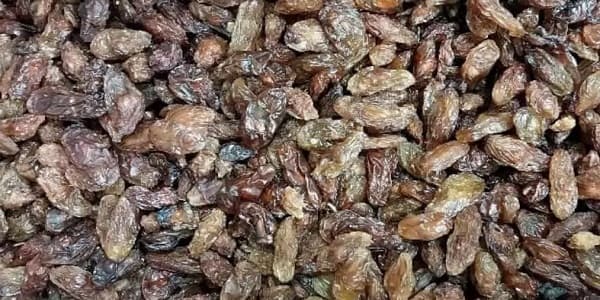تصویر 2 از خرید و قیمت کشمش گله کاشمر + فروش عمده