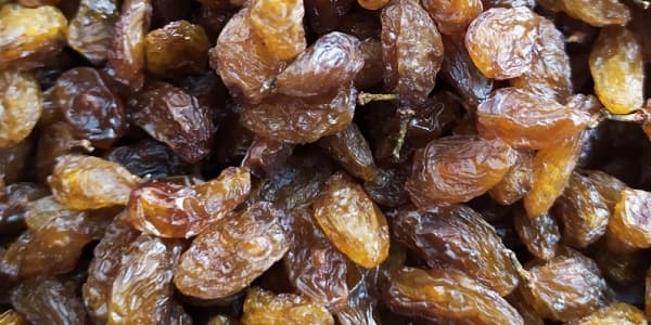 تصویر 5 از خرید و قیمت کشمش گله کاشمر + فروش عمده