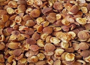 تصویر 2 از قیمت خرید قیسی خشک نیشابور عمده با فروش عمده