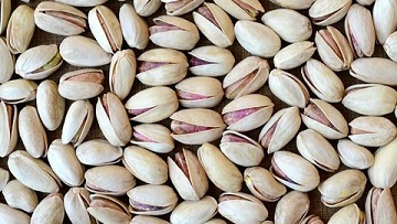 تصویر 5 از قیمت خرید پسته خام اکبری + فروش ویژه
