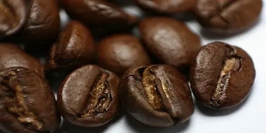 تصویر 5 از قیمت قهوه هسته خرما با کیفیت ارزان + خرید عمده