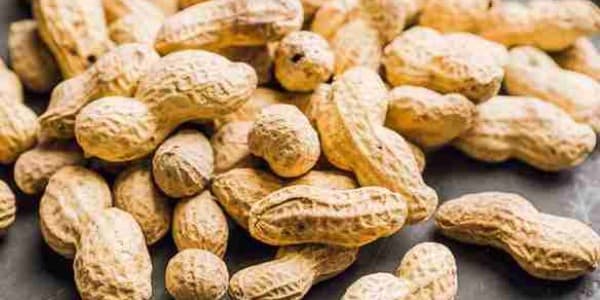 تصویر 4 از خرید بادام زمینی پوست کاغذی + قیمت فروش استثنایی