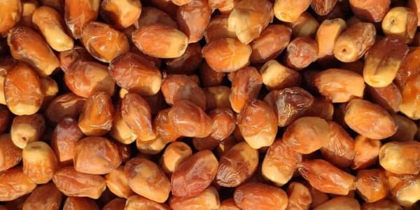 تصویر 1 از قیمت خرما زاهدی درجه یک + خرید باور نکردنی