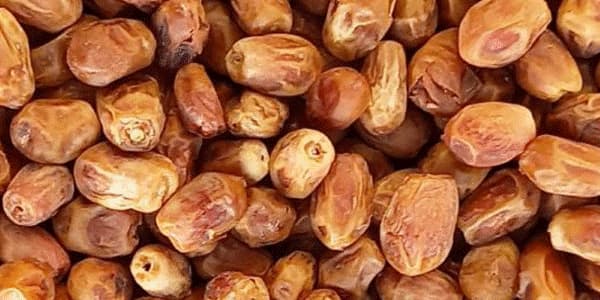 تصویر 3 از قیمت خرما زاهدی درجه یک + خرید باور نکردنی