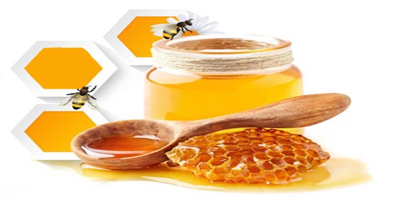 تصویر 5 از قیمت عسل طبیعی جنگلی + خرید باور نکردنی