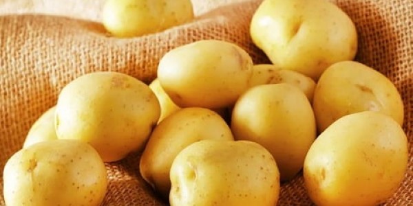 تصویر 2 از خرید سیب زمینی بامبا + قیمت فروش استثنایی