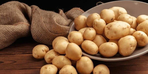 تصویر 1 از خرید سیب زمینی بامبا + قیمت فروش استثنایی