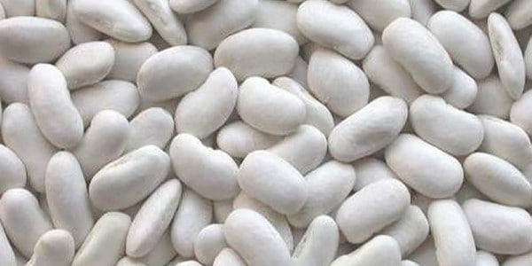 تصویر 2 از خرید لوبیا سفید ایرانی + قیمت فروش استثنایی