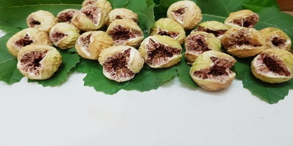 تصویر 2 از خرید انجیر صد یک پرک + قیمت فروش استثنایی