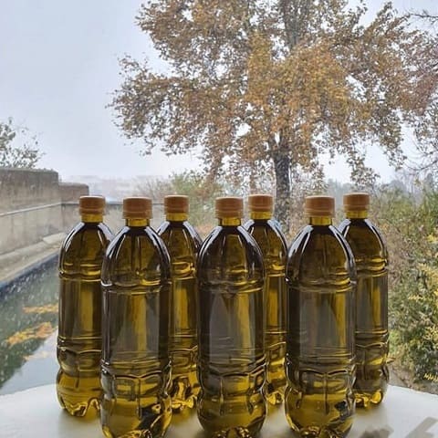 خرید روغن زیتون محلی + قیمت فروش استثنایی