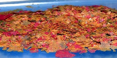 تصویر 1 از قیمت خرید غذای ماهی زینتی + فروش ویژه