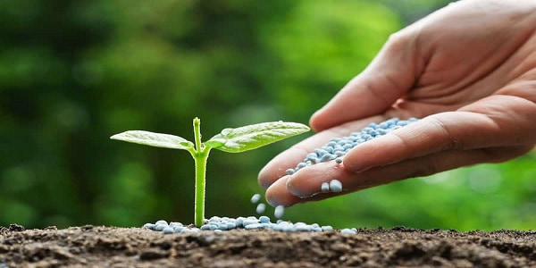 تصویر 2 از قیمت خرید کود ارگانیک ارکید با فروش عمده