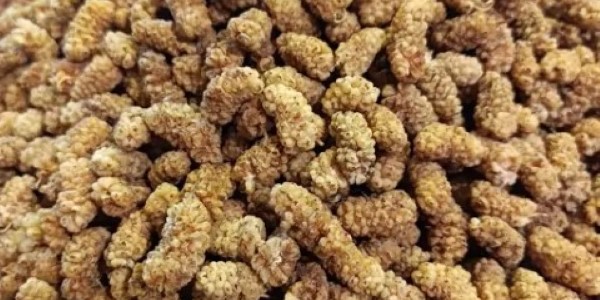 تصویر 3 از خرید و قیمت توت خشک درجه یک + فروش عمده
