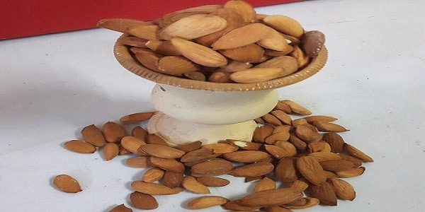 تصویر 3 از خرید مغز بادام مامائی + قیمت فروش استثنایی