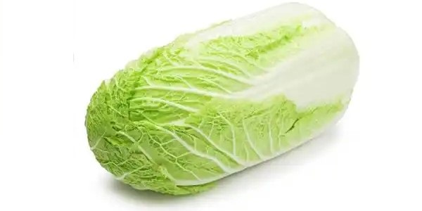 تصویر 5 از خرید کاهو چینی اصفهان + قیمت فروش استثنایی