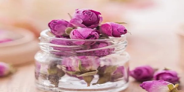تصویر 1 از قیمت خرید گیاه دارویی گل محمدی عمده به صرفه و ارزان